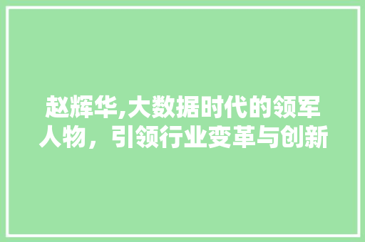 赵辉华,大数据时代的领军人物，引领行业变革与创新