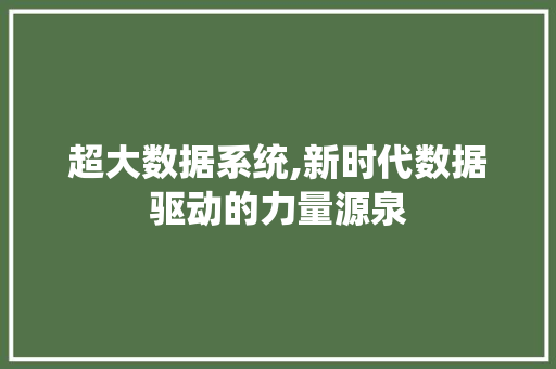 超大数据系统,新时代数据驱动的力量源泉