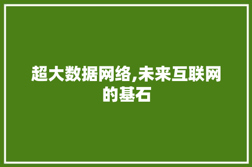 超大数据网络,未来互联网的基石