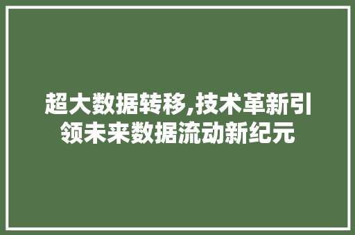 超大数据转移,技术革新引领未来数据流动新纪元 网站建设公司