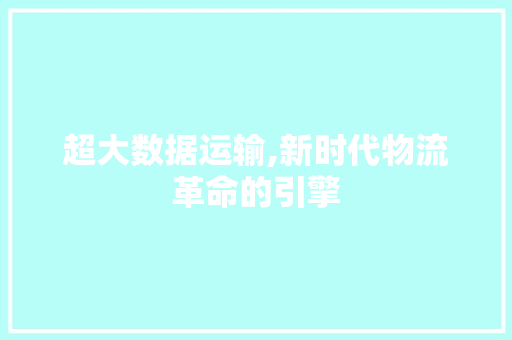 超大数据运输,新时代物流革命的引擎 SEO关键词