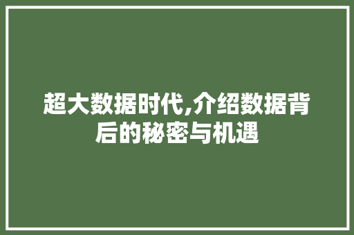 超大数据时代,介绍数据背后的秘密与机遇