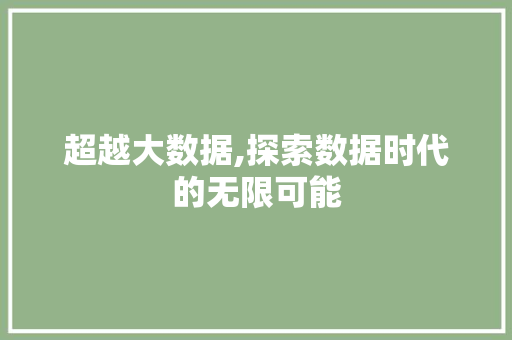 超越大数据,探索数据时代的无限可能