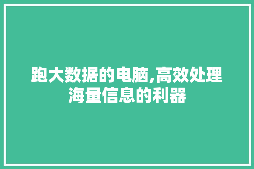 跑大数据的电脑,高效处理海量信息的利器