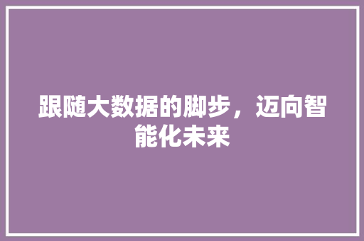 跟随大数据的脚步，迈向智能化未来