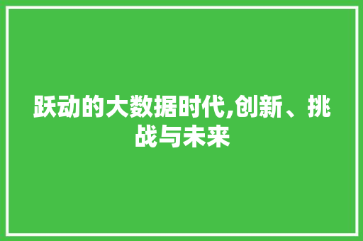 跃动的大数据时代,创新、挑战与未来