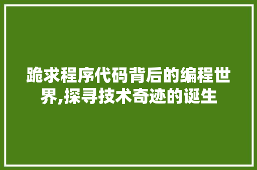 跪求程序代码背后的编程世界,探寻技术奇迹的诞生