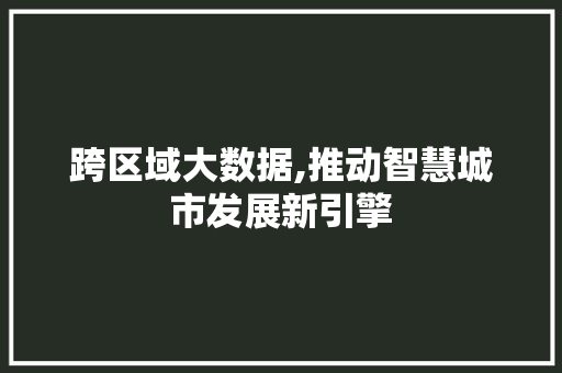 跨区域大数据,推动智慧城市发展新引擎