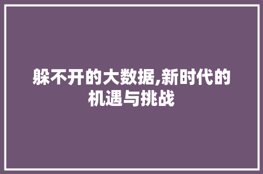 躲不开的大数据,新时代的机遇与挑战