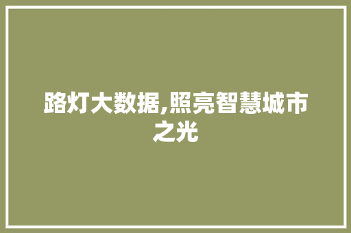 路灯大数据,照亮智慧城市之光