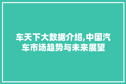 车天下大数据介绍,中国汽车市场趋势与未来展望