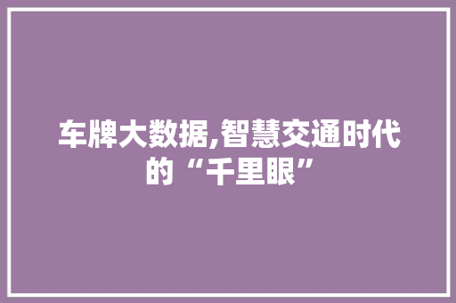 车牌大数据,智慧交通时代的“千里眼”