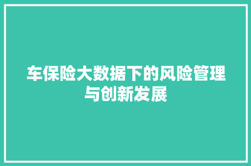 车保险大数据下的风险管理与创新发展