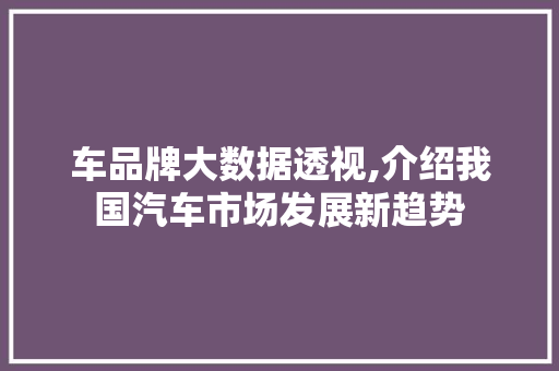 车品牌大数据透视,介绍我国汽车市场发展新趋势