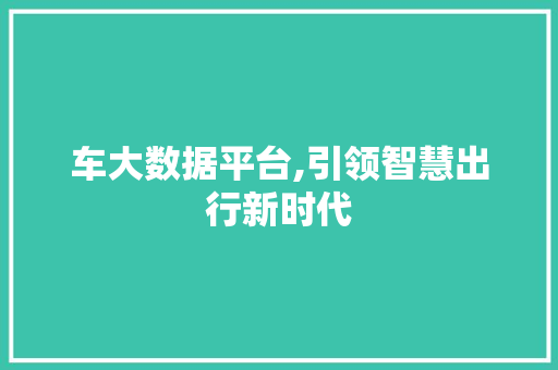 车大数据平台,引领智慧出行新时代