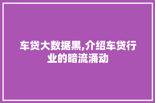 车贷大数据黑,介绍车贷行业的暗流涌动