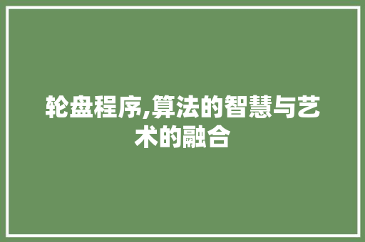 轮盘程序,算法的智慧与艺术的融合