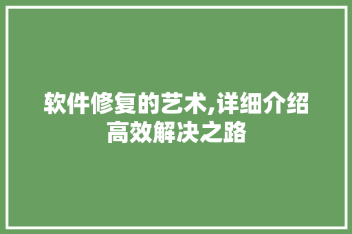 软件修复的艺术,详细介绍高效解决之路