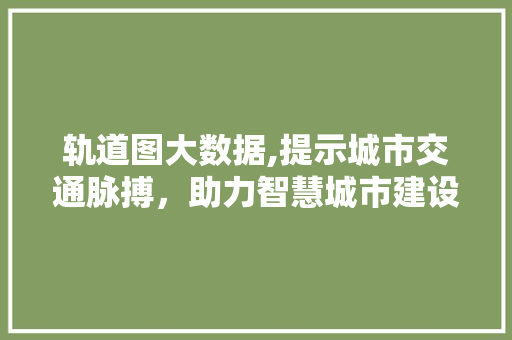 轨道图大数据,提示城市交通脉搏，助力智慧城市建设