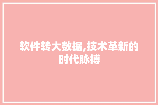 软件转大数据,技术革新的时代脉搏