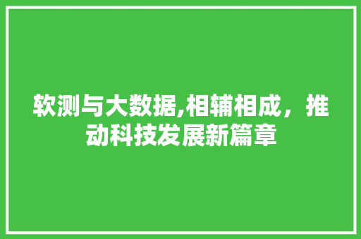 软测与大数据,相辅相成，推动科技发展新篇章