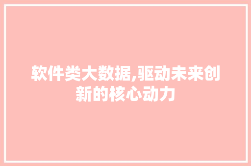 软件类大数据,驱动未来创新的核心动力