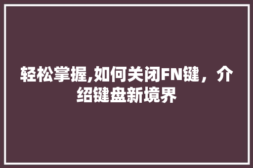 轻松掌握,如何关闭FN键，介绍键盘新境界