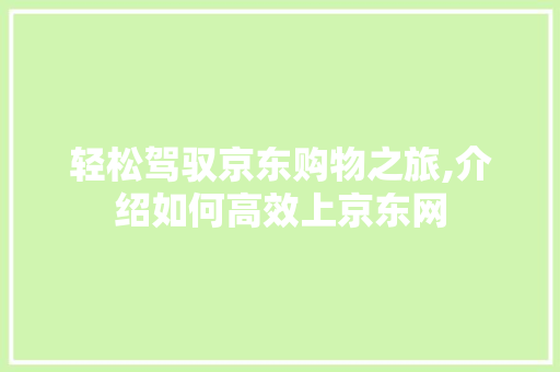 轻松驾驭京东购物之旅,介绍如何高效上京东网