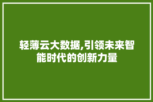 轻薄云大数据,引领未来智能时代的创新力量