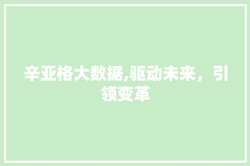 辛亚格大数据,驱动未来，引领变革