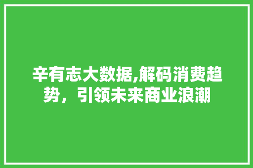 辛有志大数据,解码消费趋势，引领未来商业浪潮