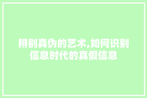 辨别真伪的艺术,如何识别信息时代的真假信息