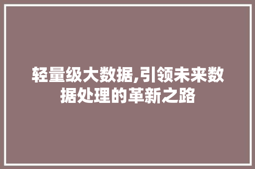 轻量级大数据,引领未来数据处理的革新之路