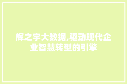 辉之宇大数据,驱动现代企业智慧转型的引擎