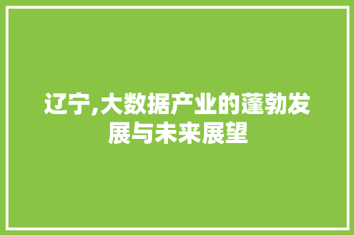 辽宁,大数据产业的蓬勃发展与未来展望