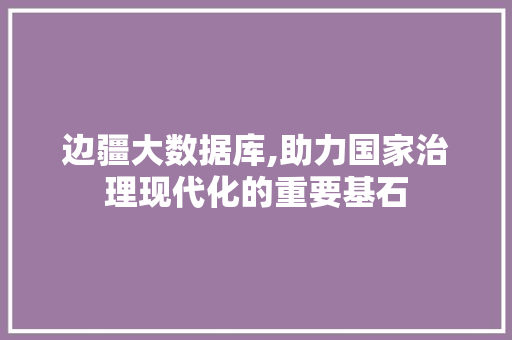 边疆大数据库,助力国家治理现代化的重要基石