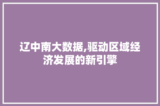 辽中南大数据,驱动区域经济发展的新引擎