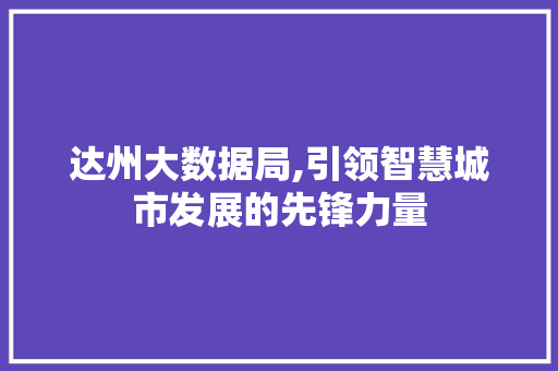 达州大数据局,引领智慧城市发展的先锋力量