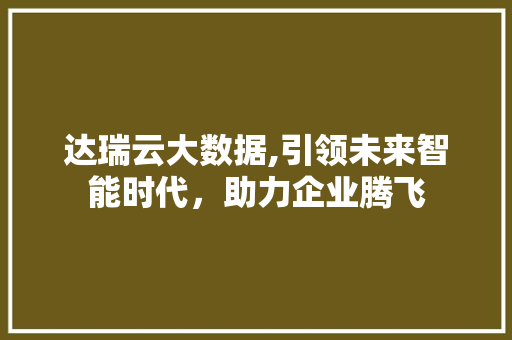 达瑞云大数据,引领未来智能时代，助力企业腾飞