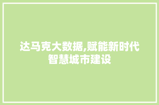 达马克大数据,赋能新时代智慧城市建设