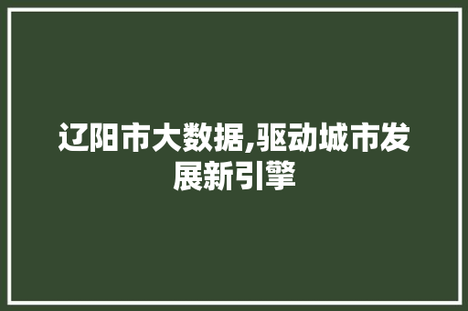 辽阳市大数据,驱动城市发展新引擎