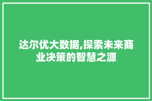 达尔优大数据,探索未来商业决策的智慧之源