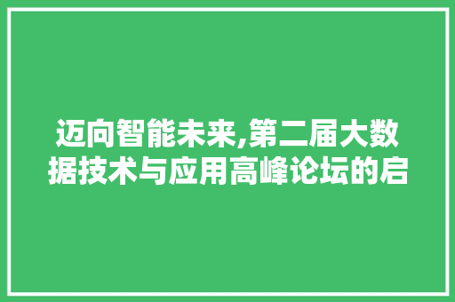 迈向智能未来,第二届大数据技术与应用高峰论坛的启示与展望 SEO关键词