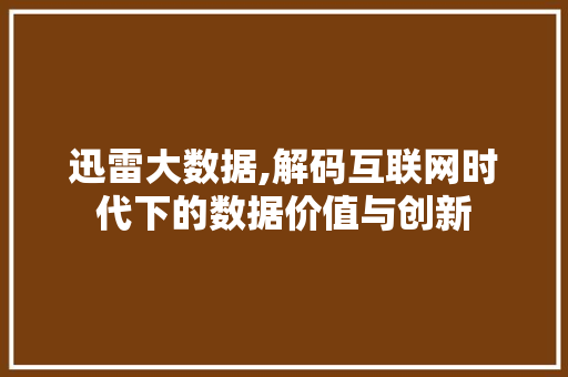 迅雷大数据,解码互联网时代下的数据价值与创新
