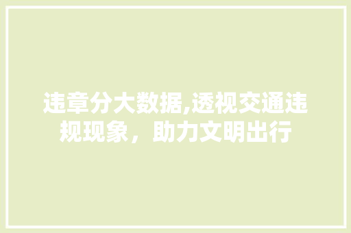 违章分大数据,透视交通违规现象，助力文明出行