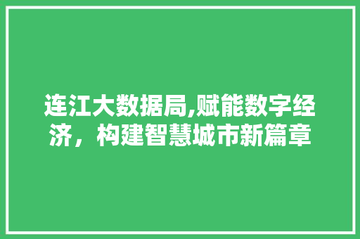 连江大数据局,赋能数字经济，构建智慧城市新篇章