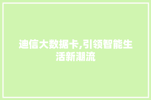 迪信大数据卡,引领智能生活新潮流