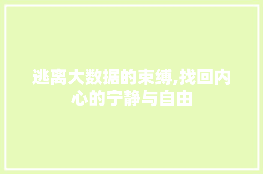 逃离大数据的束缚,找回内心的宁静与自由