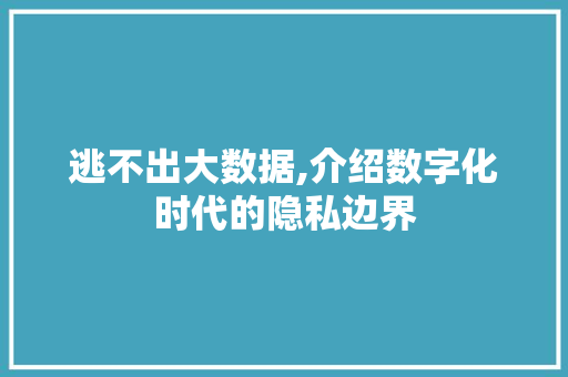 逃不出大数据,介绍数字化时代的隐私边界