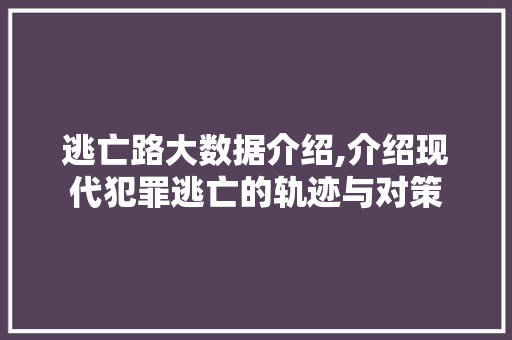 逃亡路大数据介绍,介绍现代犯罪逃亡的轨迹与对策